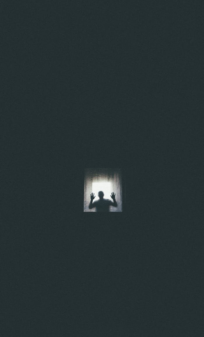 Eerie silhouette of a person against a window, conveying themes of isolation and entrapment.